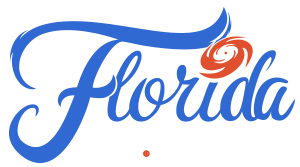 Florida MSP Services